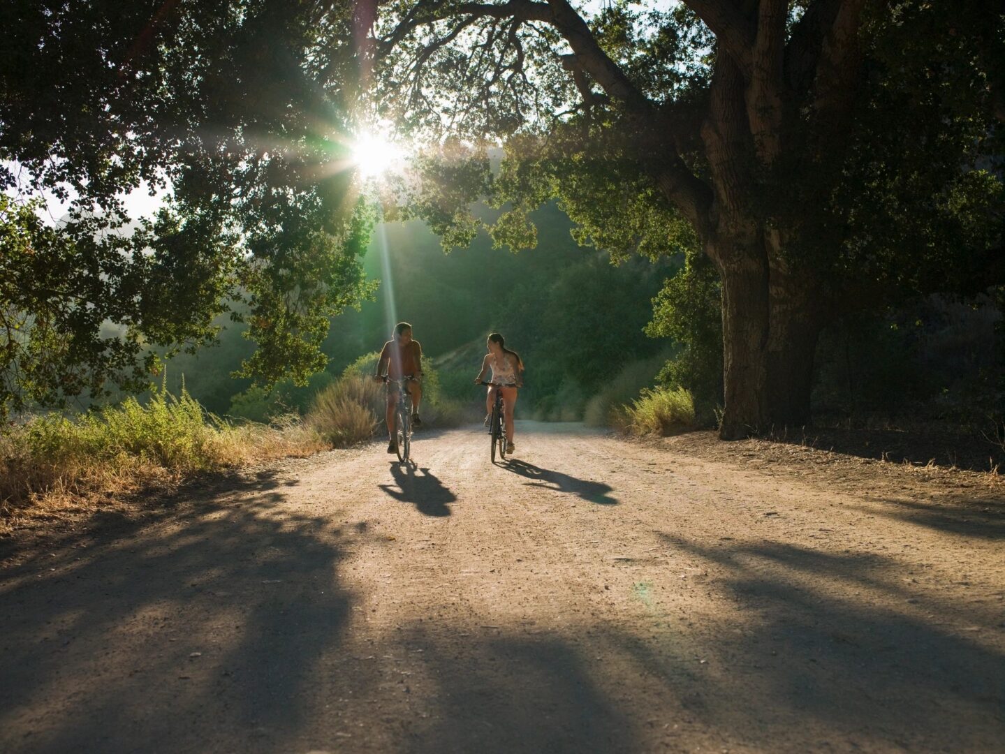 Two people biking on a sunlit path.